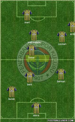 Fenerbahçe SK Formation 2014