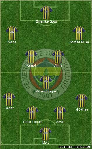 Fenerbahçe SK Formation 2014
