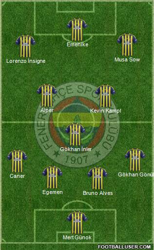 Fenerbahçe SK Formation 2014
