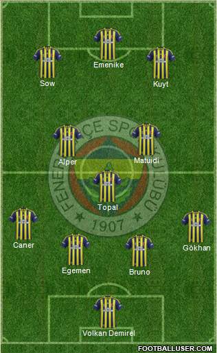 Fenerbahçe SK Formation 2014