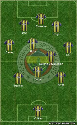 Fenerbahçe SK Formation 2014