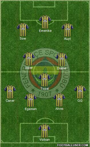 Fenerbahçe SK Formation 2014