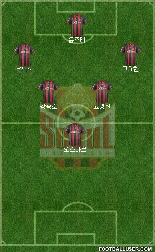 FC Seoul Formation 2014