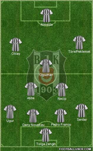 Besiktas JK Formation 2014