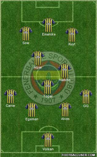 Fenerbahçe SK Formation 2014