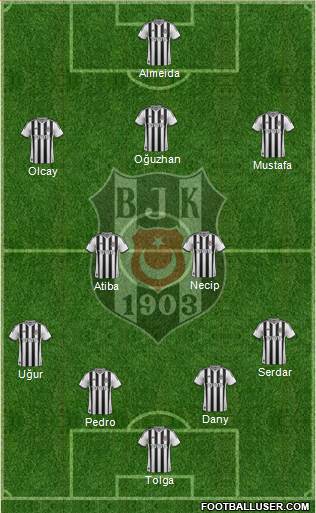 Besiktas JK Formation 2014