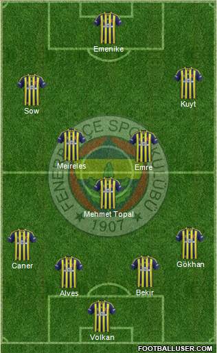 Fenerbahçe SK Formation 2014