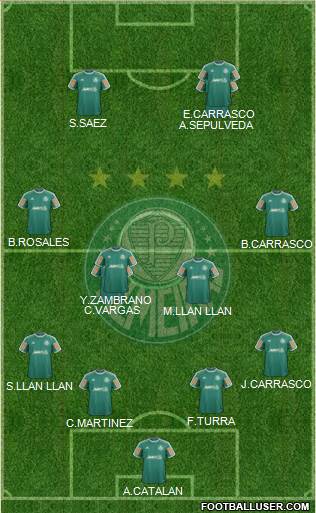 SE Palmeiras Formation 2014