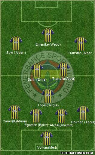 Fenerbahçe SK Formation 2014