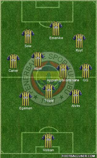 Fenerbahçe SK Formation 2014