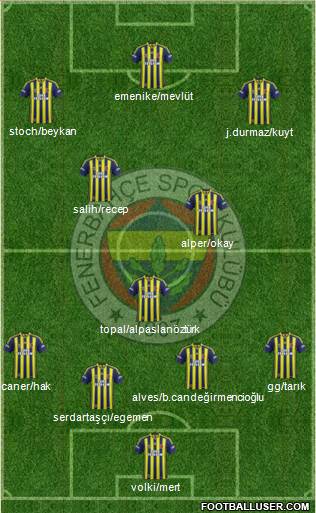 Fenerbahçe SK Formation 2014