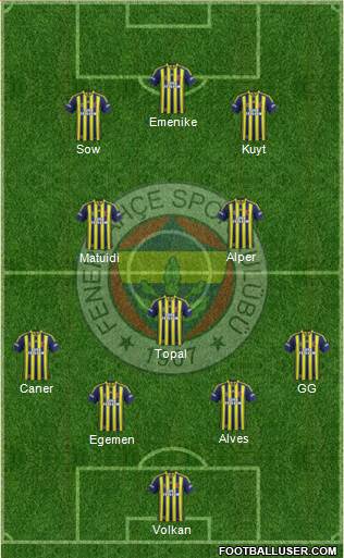 Fenerbahçe SK Formation 2014