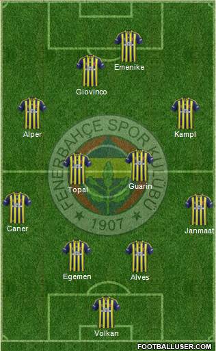Fenerbahçe SK Formation 2014