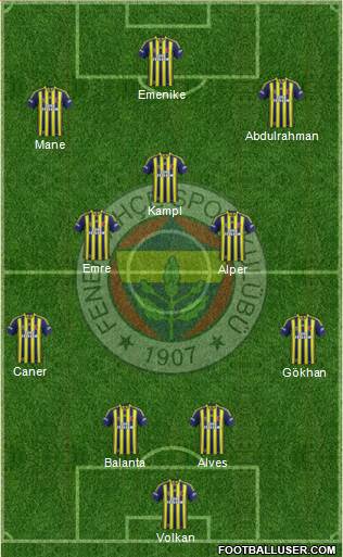 Fenerbahçe SK Formation 2014
