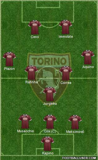 Torino Formation 2014