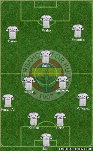 Fenerbahçe SK Formation 2014