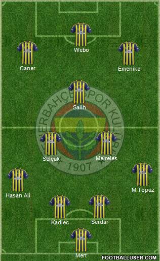 Fenerbahçe SK Formation 2014