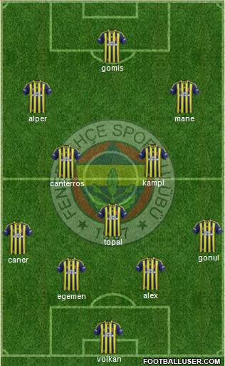 Fenerbahçe SK Formation 2014