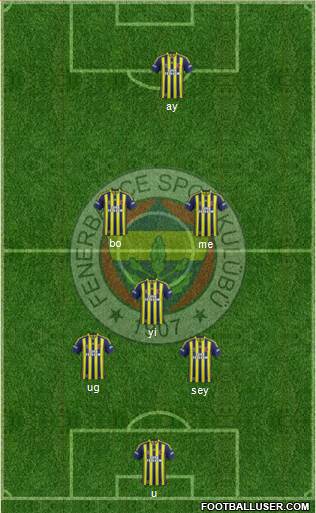 Fenerbahçe SK Formation 2014