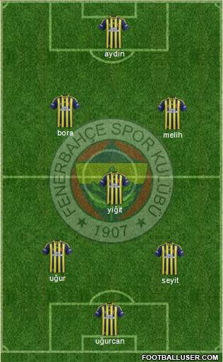 Fenerbahçe SK Formation 2014