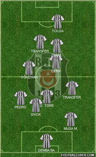 Besiktas JK Formation 2014