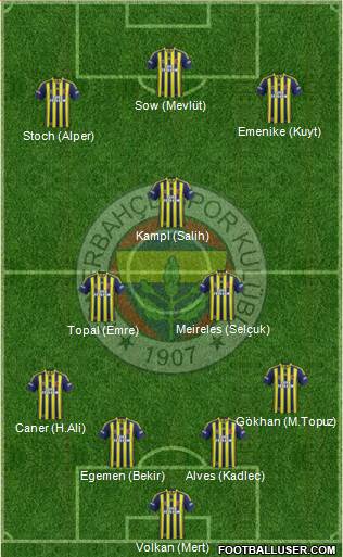 Fenerbahçe SK Formation 2014
