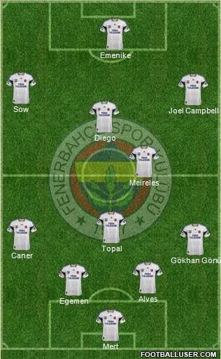 Fenerbahçe SK Formation 2014