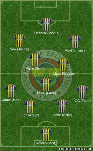 Fenerbahçe SK Formation 2014