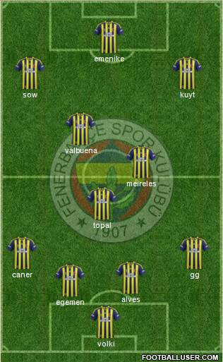 Fenerbahçe SK Formation 2014