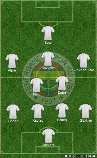 Fenerbahçe SK Formation 2014