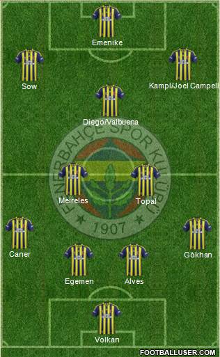 Fenerbahçe SK Formation 2014
