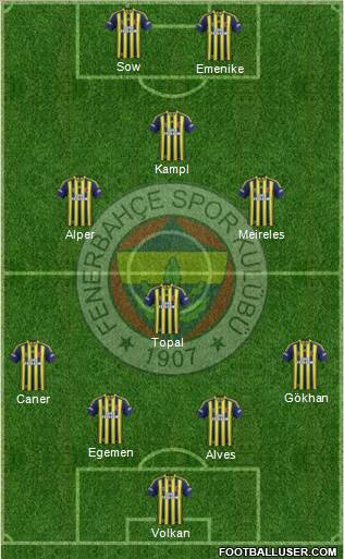Fenerbahçe SK Formation 2014