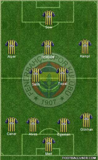 Fenerbahçe SK Formation 2014