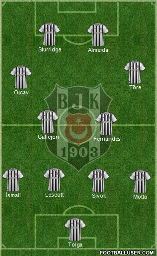 Besiktas JK Formation 2014
