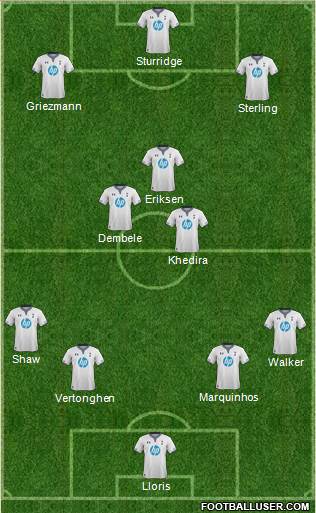 Tottenham Hotspur Formation 2014
