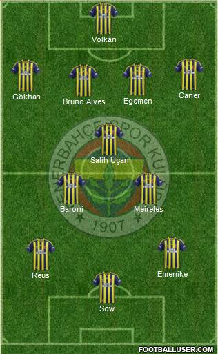 Fenerbahçe SK Formation 2014