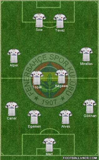 Fenerbahçe SK Formation 2014