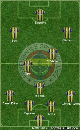 Fenerbahçe SK Formation 2014