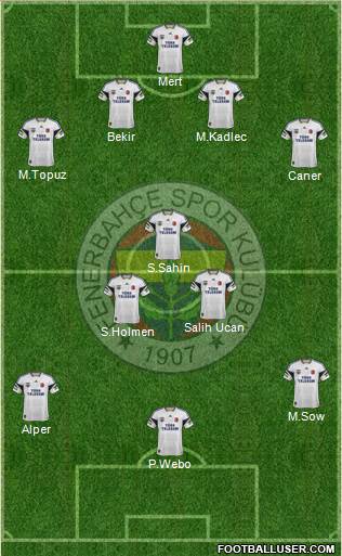 Fenerbahçe SK Formation 2014
