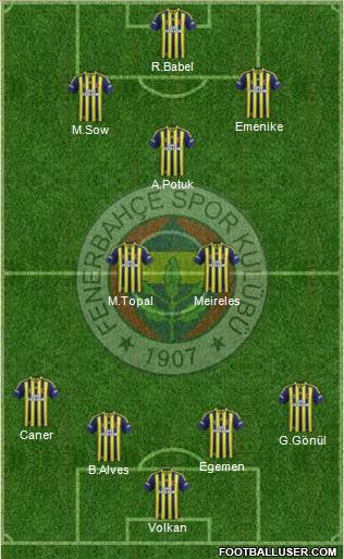 Fenerbahçe SK Formation 2014