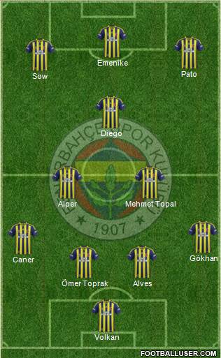 Fenerbahçe SK Formation 2014