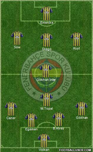 Fenerbahçe SK Formation 2014