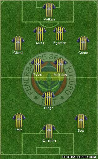 Fenerbahçe SK Formation 2014