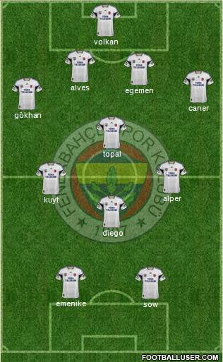 Fenerbahçe SK Formation 2014