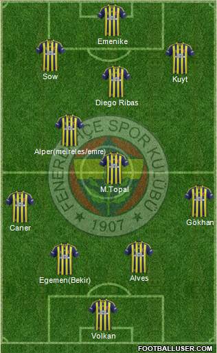 Fenerbahçe SK Formation 2014