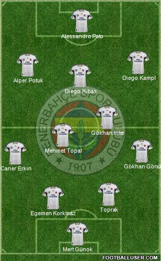 Fenerbahçe SK Formation 2014