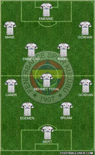 Fenerbahçe SK Formation 2014