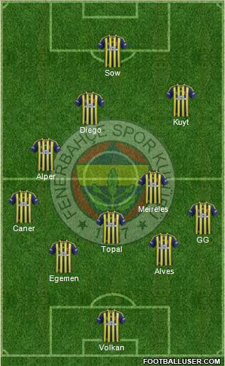 Fenerbahçe SK Formation 2014