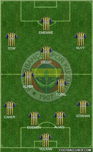 Fenerbahçe SK Formation 2014