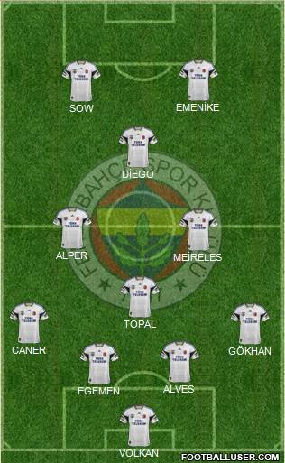 Fenerbahçe SK Formation 2014